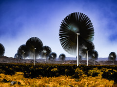 The Wind Turbine Project