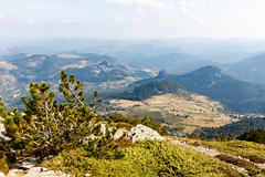 Vue du Mont Mézenc