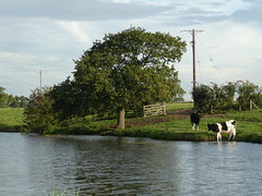 20.09.02 - Lancaster Canal Walk