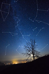 Stars & Constellations - Estrellas y constelaciones