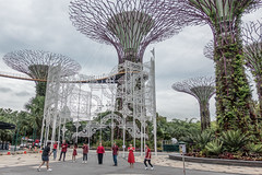 2020 Gardens by the Bay