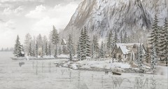 Winter scenes