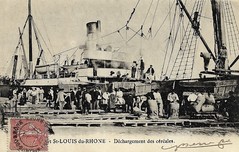Port-Saint-Louis-du-Rhône : Déchargement des céréales