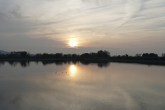 Tring Reservoir- Sunset