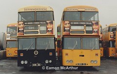 CIÉ / Dublin Bus / Bus Éireann D 1 - 602