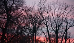 2020.12.03; Sunset Vistas
