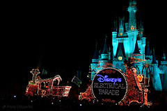 2011-02-24 - Walt Disney