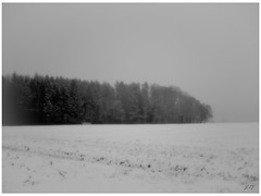Snow fields in Weil - Dec 2020