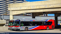 WMATA Metrobus 2019 New Flyer Xcelsior XD40 #4463