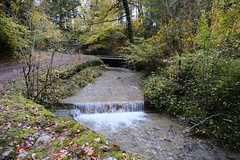 Ruisseau du Creux des Mouilles @ Sanctuaire de la Bénite Fontaine @ Saint-Sixt
