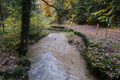 Ruisseau du Creux des Mouilles @ Saint-Sixt