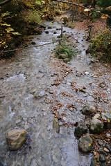 Ruisseau de la Bénite Fontaine @ Saint-Sixt