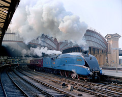 Mainline Steam in the East  1979-2024