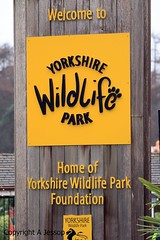 Yorkshire Wildlife Park 12/12/2020