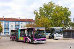 Citéline / SNCF / MAN Lion's City n°3510 et Iveco Crossway Pop 13 n°23956 - Transdev Grand Est