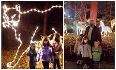 At the Bronx Zoo's 2020 Light Show
