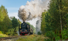 Pociągi specjalne pod parą / Special trains hauled by steam locomotives