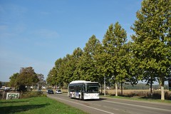 Irisbus Citelis 12 n°402  -  Strasbourg, CTS