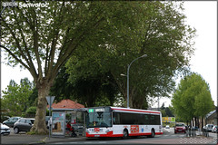 Heuliez Bus GX 337 – TPC (Transports Publics du Choletais) / CholetBus n°52