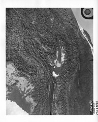1934 Aerial Photographs of Atchafalaya Basin from LSU Cartography