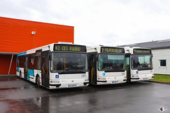 CABUS / Renault Agora S n°208, Irisbus Agora S n°685 et Irisbus Agora S n°257