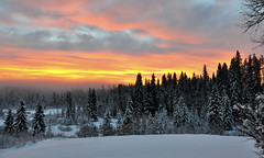 Kvarnbacken Pre-Christmas Sunset