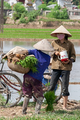 Vietnam Việt Nam
