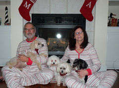 Christmas Dogs in Pajamas