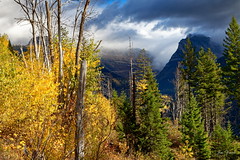 Banff and Glacier National Parks 2015