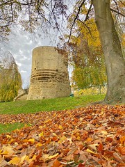 Herfst in het stadspark van Leuven