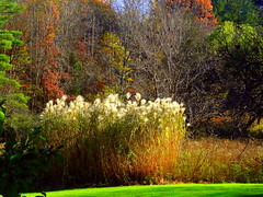New Jersey, Willowwood Arboretum