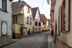 Rue Sainte-Odile, Bernardswiller, Alsace, France