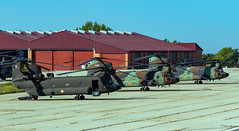 Colmenar Viejo Air Base, Spain (2016)