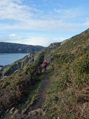 New Year's Eve walk: East Prawle to Sunny Cove with A, J and P
