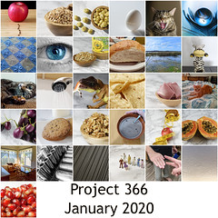 Project 366 Mosaics 2020
