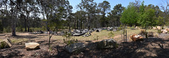 Bargo Cemetery