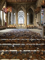 Sheffield Cathedral: Leaves Of The Trees 2020