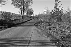 Dunflat Road in Monochrome East Yorkshire