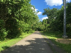 Schuylkill River and Cross-Country Trails, August 2020