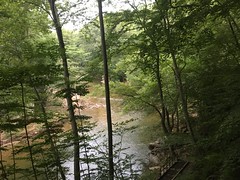 Wissahickon Valley Park, April to August 2020