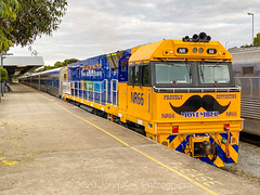 SA Trains - 2021-current