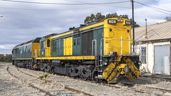 Locomotives - 600 Class (SAR)