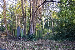 Hull General Cemetery November 2020