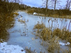 Phyllis Rawlinson Park Richmond Hill, Ontario  2021  -  2022-2023- 2024  Winter, Spring, Summer and Fall, Winter