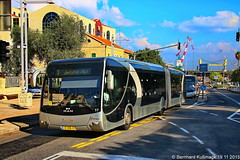 Haifa Bus 2015