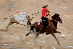 Corralejas, the bullfighting festival (Colombia)