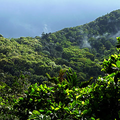 Parc National de la Guadeloupe, France