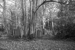 Monochrome Hull General Cemetery