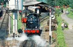 Steam and Diesel Trains