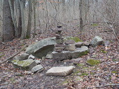 Seventh Day Hike:  Town of Lockport Nature Trails